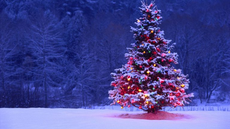 Season’s Greetings & Happy New Year